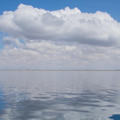 N09