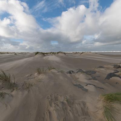 Natuur
